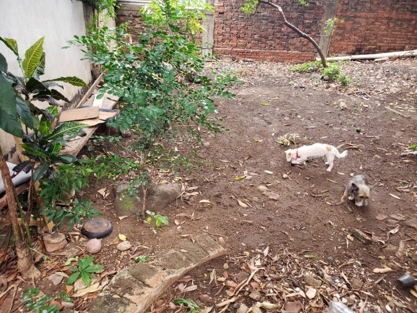 VENTA TERRENO AGUACATES
