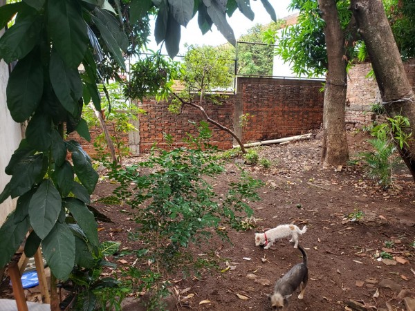 VENTA TERRENO AGUACATES